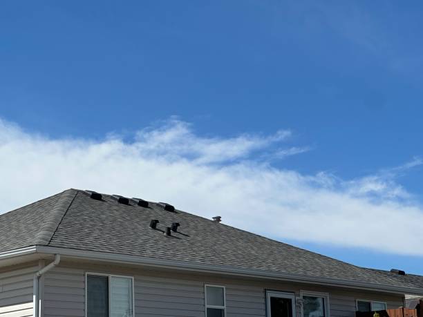 Best Asphalt Shingle Roofing  in Cedar Creek, TX